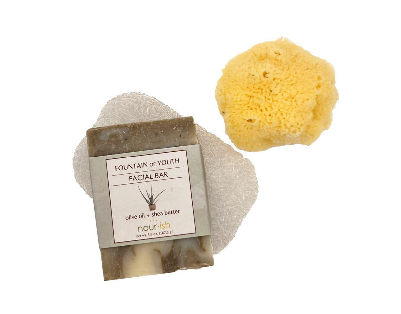 Caribbean Silk Facial Sponge