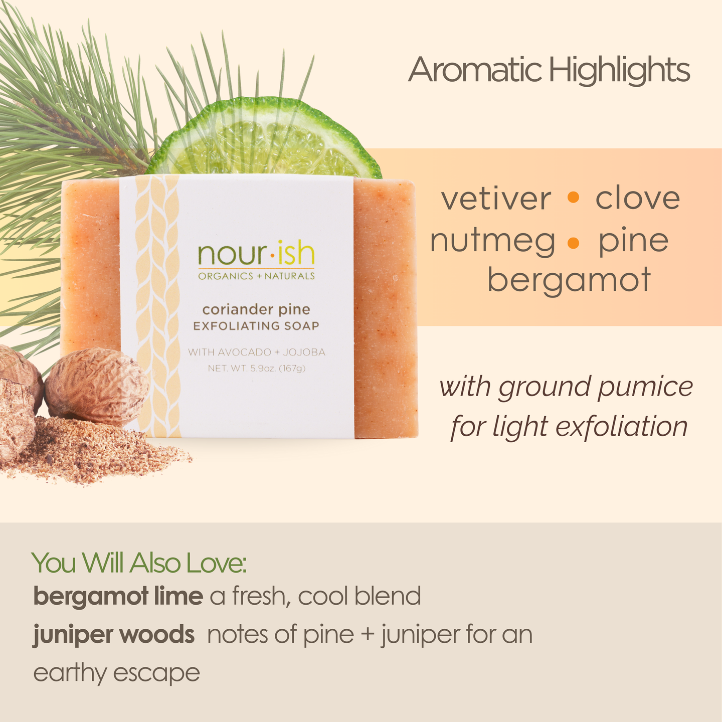 Coriander Pine Handmade Soap