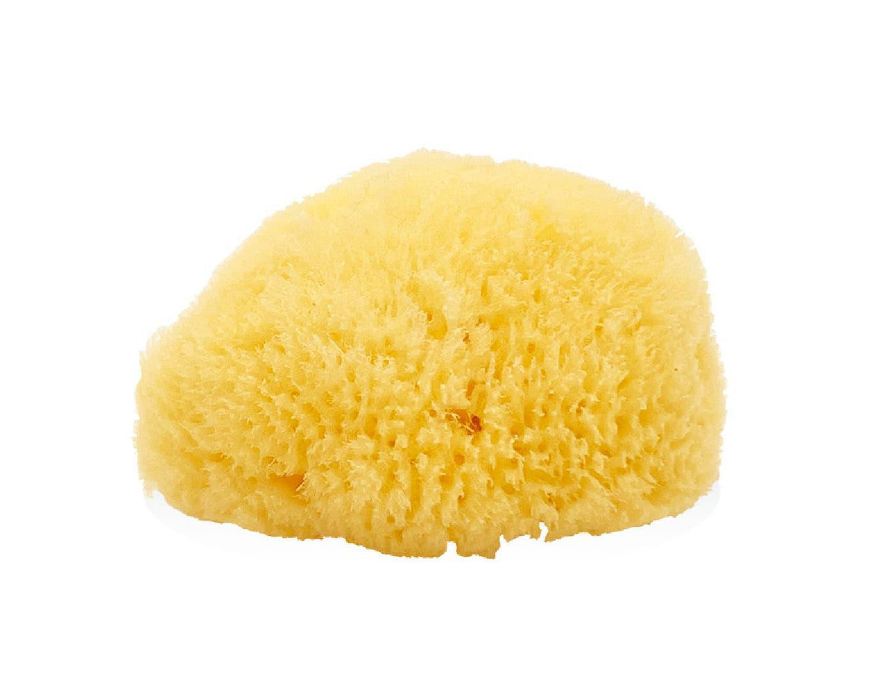 Caribbean silk natural facial sponge