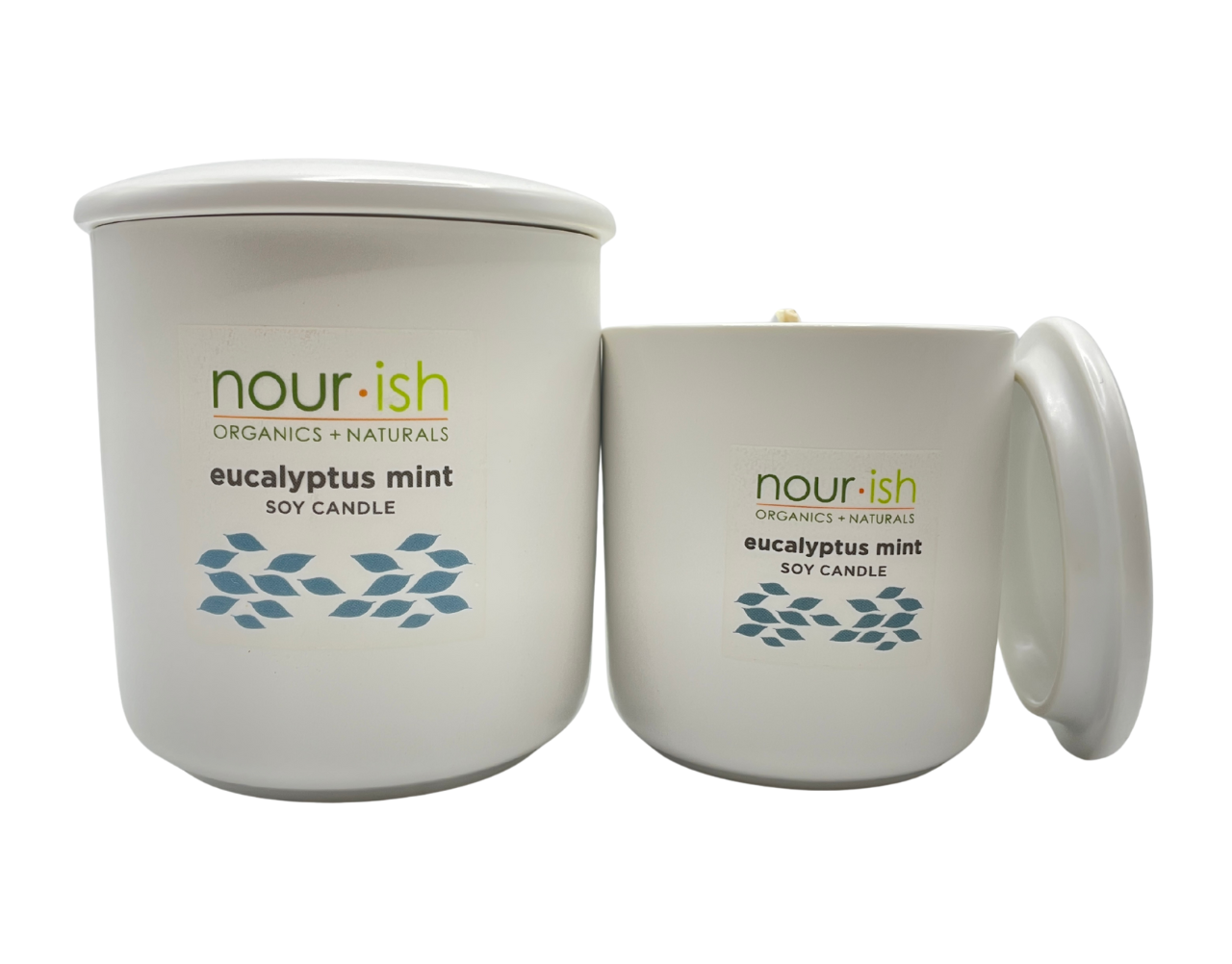 Eucalyptus Mint Soy Candle