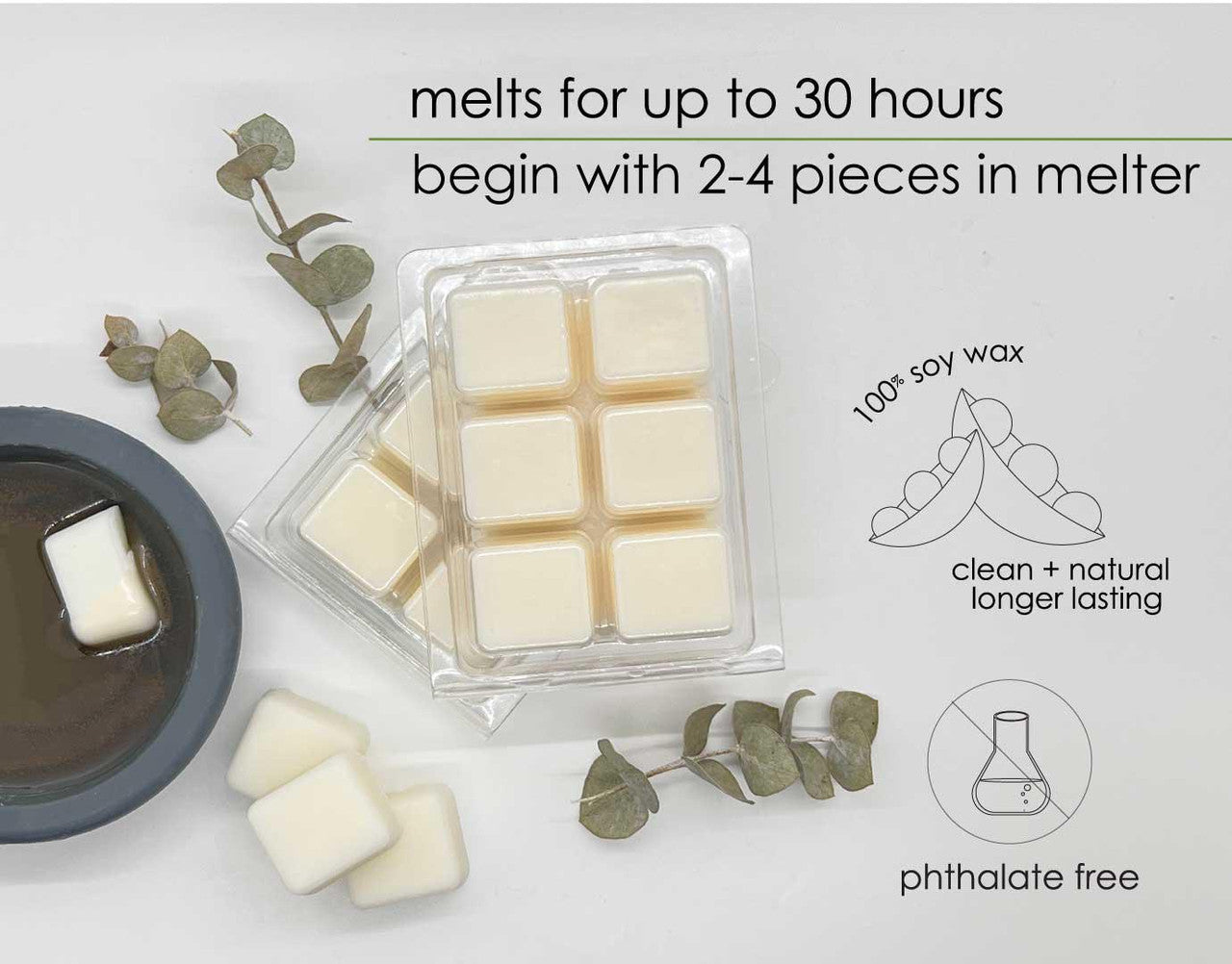 Georgia Christmas Wax Melts