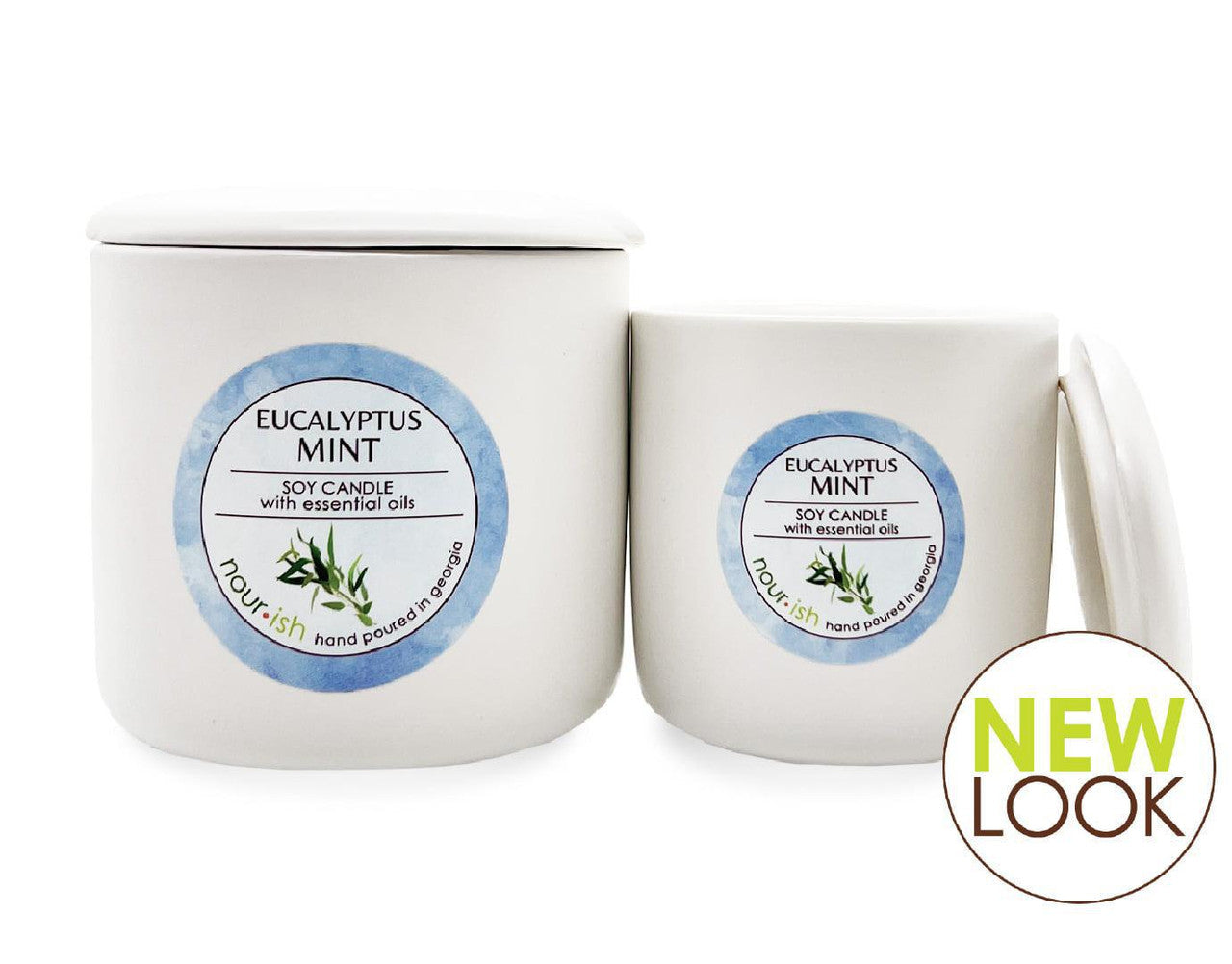 Eucalyptus Mint Soy Candle